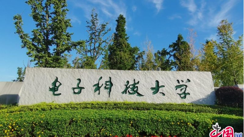 高频电子模块与普通模块：性能差异与选型要点